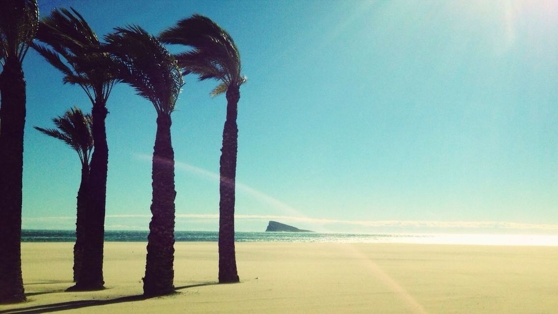 sea, tranquility, beach, tranquil scene, the way forward, sunlight, scenics, palm tree, sand, beauty in nature, horizon over water, water, nature, sky, clear sky, road, tree, sunbeam, sun, blue