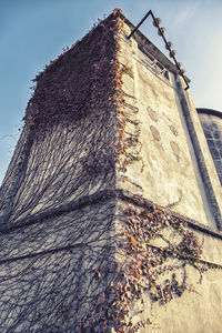 Low angle view of building against sky