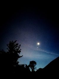 Low angle view of silhouette trees against clear sky at night