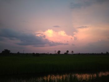 Scenic view of field against sky during sunset