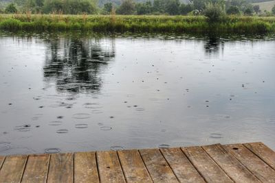 Reflection of trees in lake
