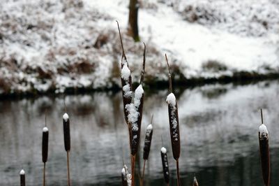 Close up of water