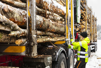 Female driver securing logs on trailer