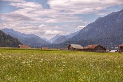 Scenic view of field and mountains against sky