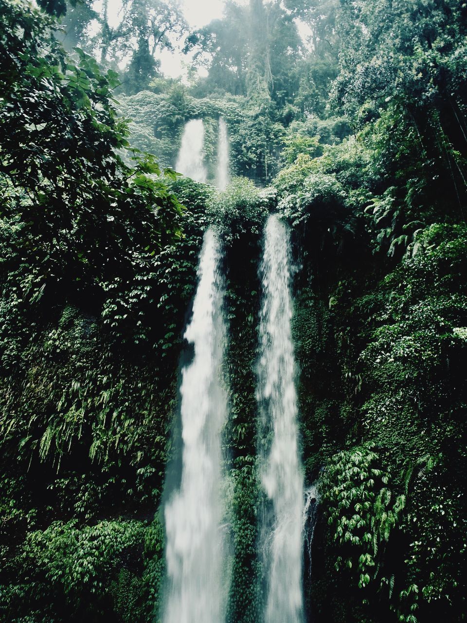 SCENIC VIEW OF WATERFALL AGAINST TREES