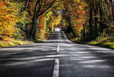 Road amidst trees during autumn