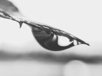 Close-up of water drop on leaf