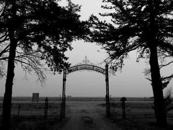 Bare trees on landscape