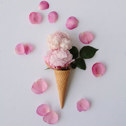 Close-up of flowers in ice cream cone against white background