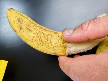 Close-up of hand holding fruit