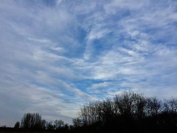 Low angle view of trees against cloudy sky