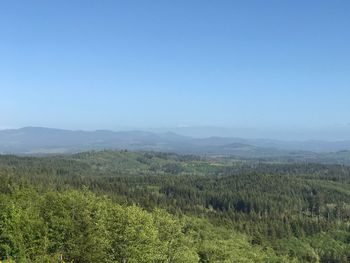 Scenic view of field against clear sky