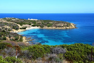 Asinara island, mediterranean sea