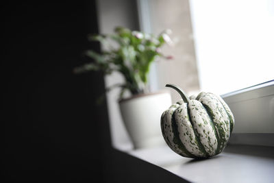 Pumpkin and potted plant on windowsill at home