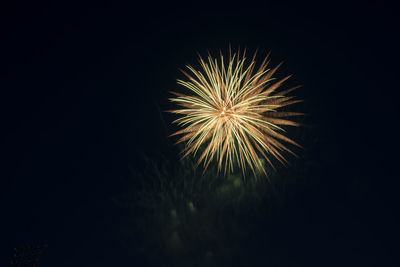 Low angle view of firework display at night