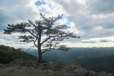 Scenic view of tree mountains against sky