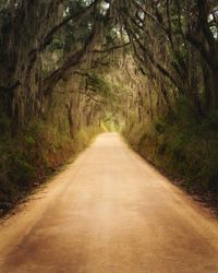 Dirt road amidst trees in forest