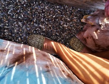 High angle view of pebbles on rocks