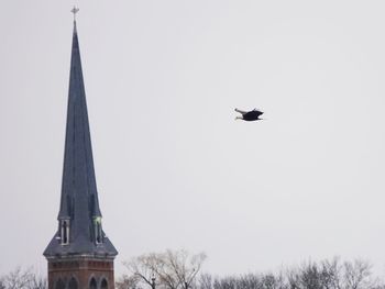 Low angle view of bird flying against clear sky