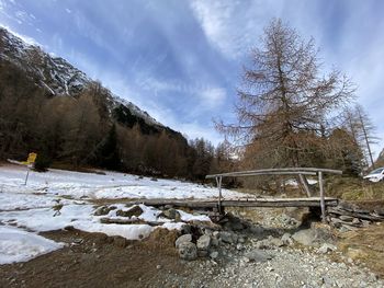 Trees on snow covered land against sky