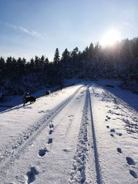 Snow covered landscape against sky