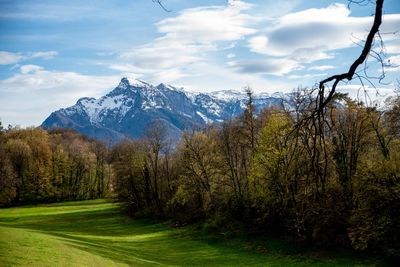 Scenic view of landscape against sky