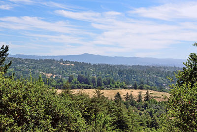 Scenic view of landscape against cloudy sky