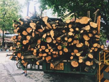 Stack of logs against trees