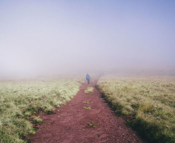 Rear view of man walking on footpath amidst grassy field during foggy weather