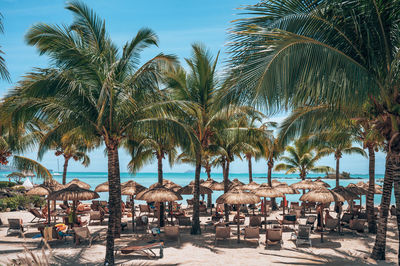 Panoramic view of palm trees against sky