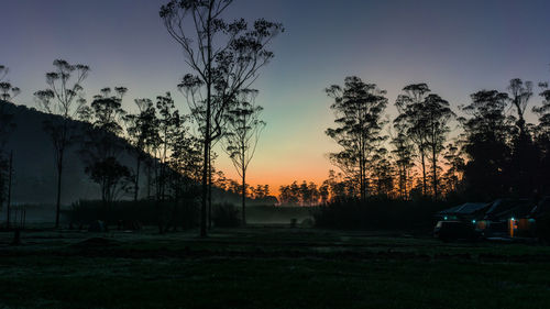 Silhouette trees on field against sky at sunset