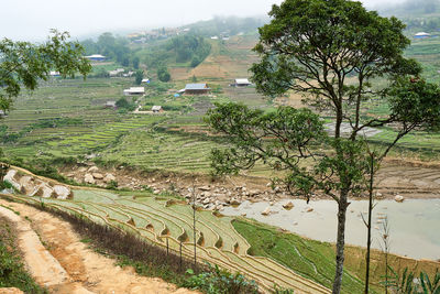 High angle view of agricultural field