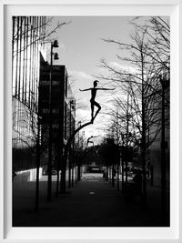 Bare trees in front of building