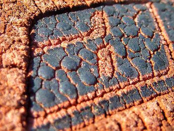 Full frame shot of cracked pattern