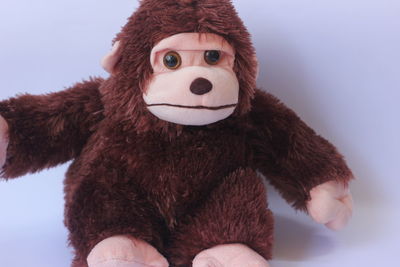 Close-up of stuffed toy against white background