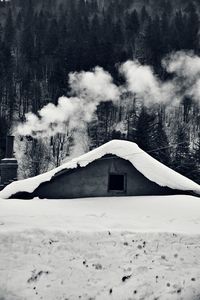 Scenic view of snow covered landscape