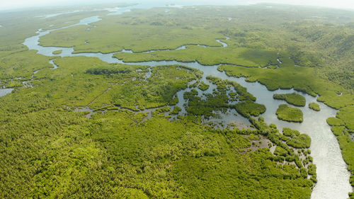 High angle view of trees on landscape