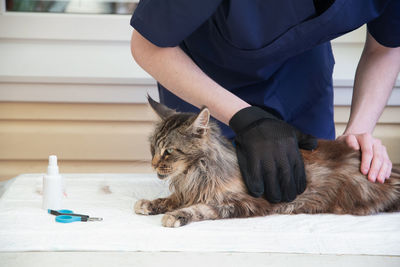 Midsection of man feeding cat