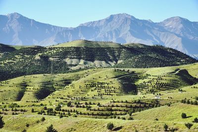 Scenic view of agricultural field against mountain range