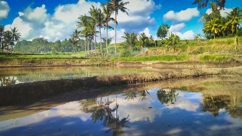 Scenic view of lake against sky