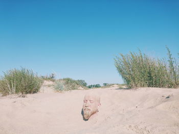 Dog on sand at beach against clear sky