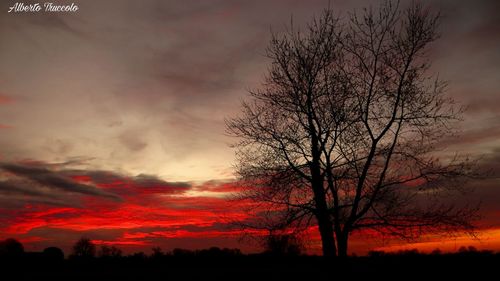 Silhouette of bare tree against cloudy sky during sunset