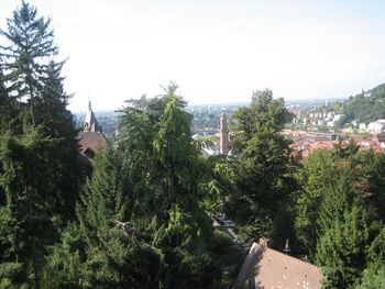 Low angle view of trees and cityscape against sky