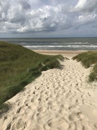 Scenic view of beach against sky