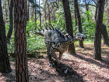 Giraffe in a forest