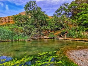 Scenic view of lake against trees