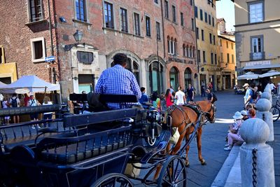 Rear view of people walking on street in city