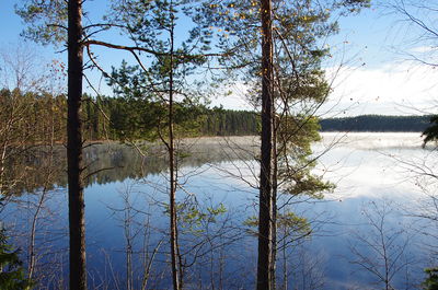 Scenic view of lake in forest against sky