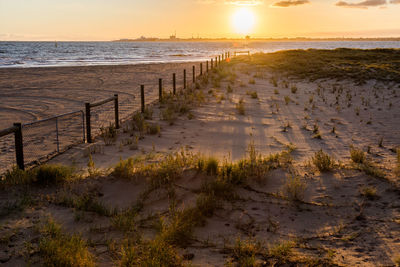 Scenic view of sea at sunset