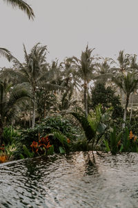 Scenic view of palm trees against sky